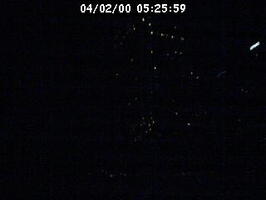 2000052559