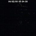 2000053430