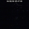 2000054731