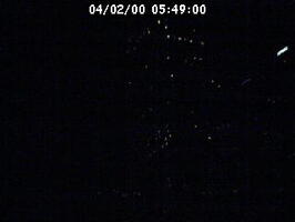 2000054901