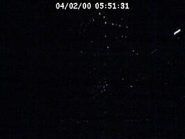 2000055131