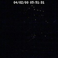 2000055131