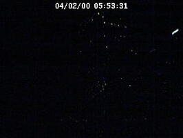 2000055331