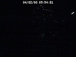 2000055431