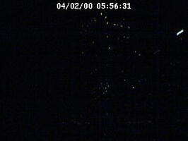 2000055631