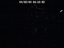 2000061232