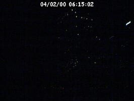 2000061502