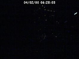 2000062803