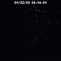 2000064604