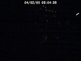 2000080438