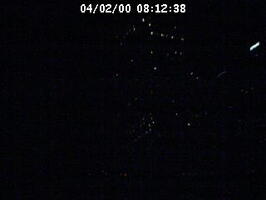 2000081239