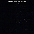 2000081239