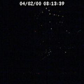 2000081339