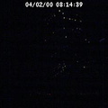 2000081439