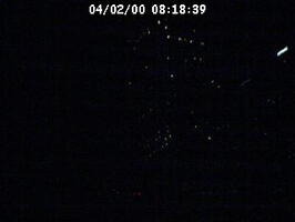 2000081839