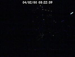 2000082239