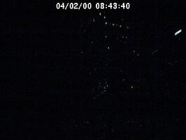 2000084341