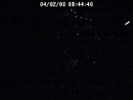 2000084441