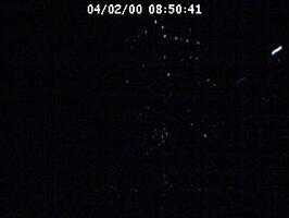 2000085041