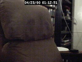 2000011251
