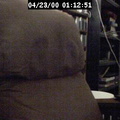 2000011251