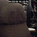 2000011351
