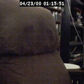 2000011551