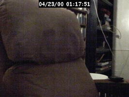 2000011751