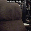 2000011821