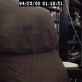 2000011851