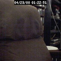 2000012252