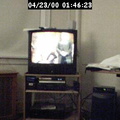 2000014624