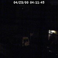 2000041145