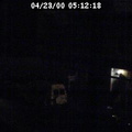 2000051219