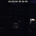 2000053450
