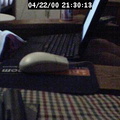 2000213014