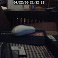 2000213214