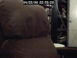 2000225321