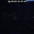 2000044549