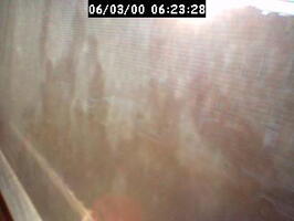 2000062328