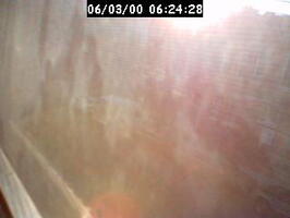 2000062428