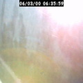 2000063559