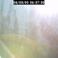 2000063731
