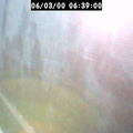 2000063901