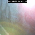 2000064231