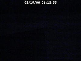 2000061855