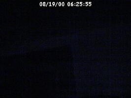 2000062556