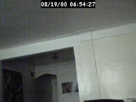 2000065428