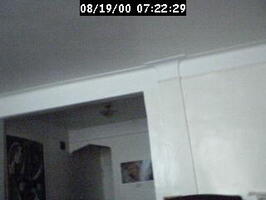 2000072229