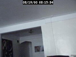 2000081535